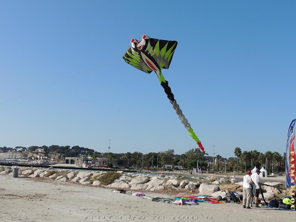 2024 11 02 EN FLANANT SUR SANARY (111).jpg